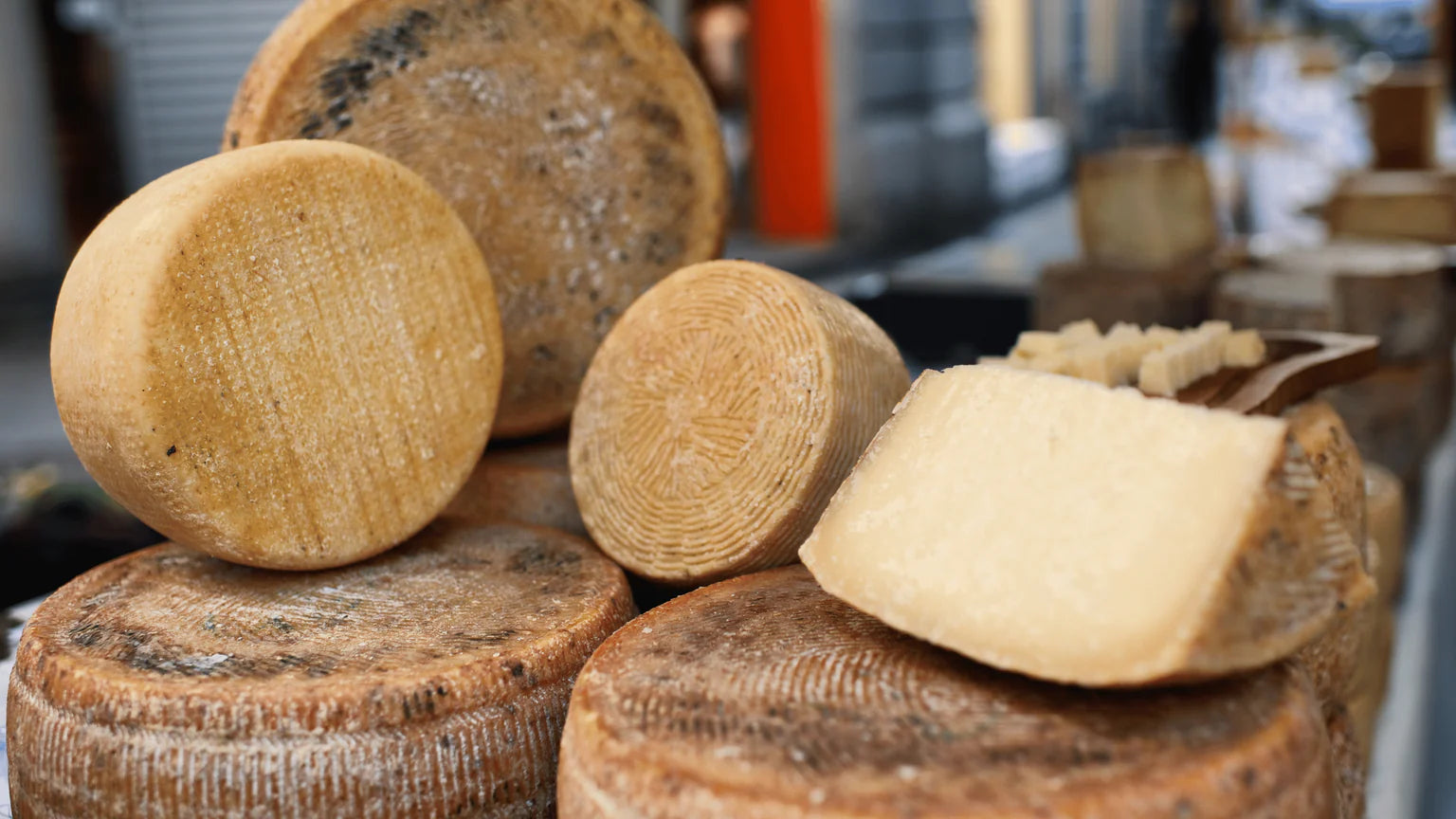 Pecorino Sheep's Milk Cheese Wheels - Cured and Cultivated