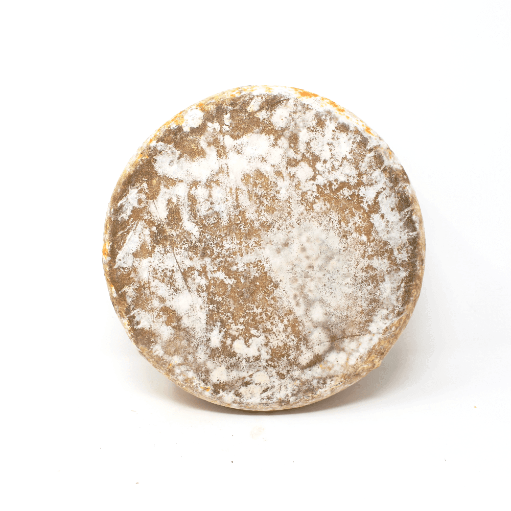 Agour Ardi Gasna Ossau Iraty AOC French Cheese - Cured and Cultivated