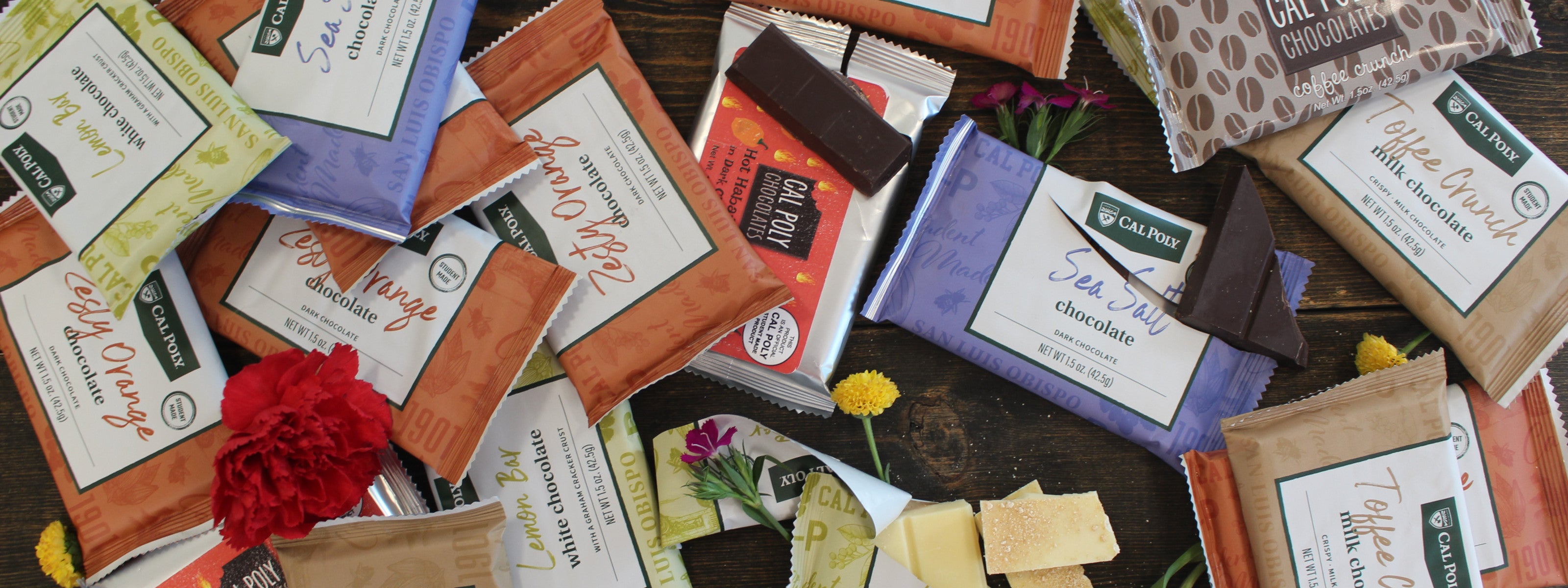 Cal Poly Chocolate - Cured and Cultivated