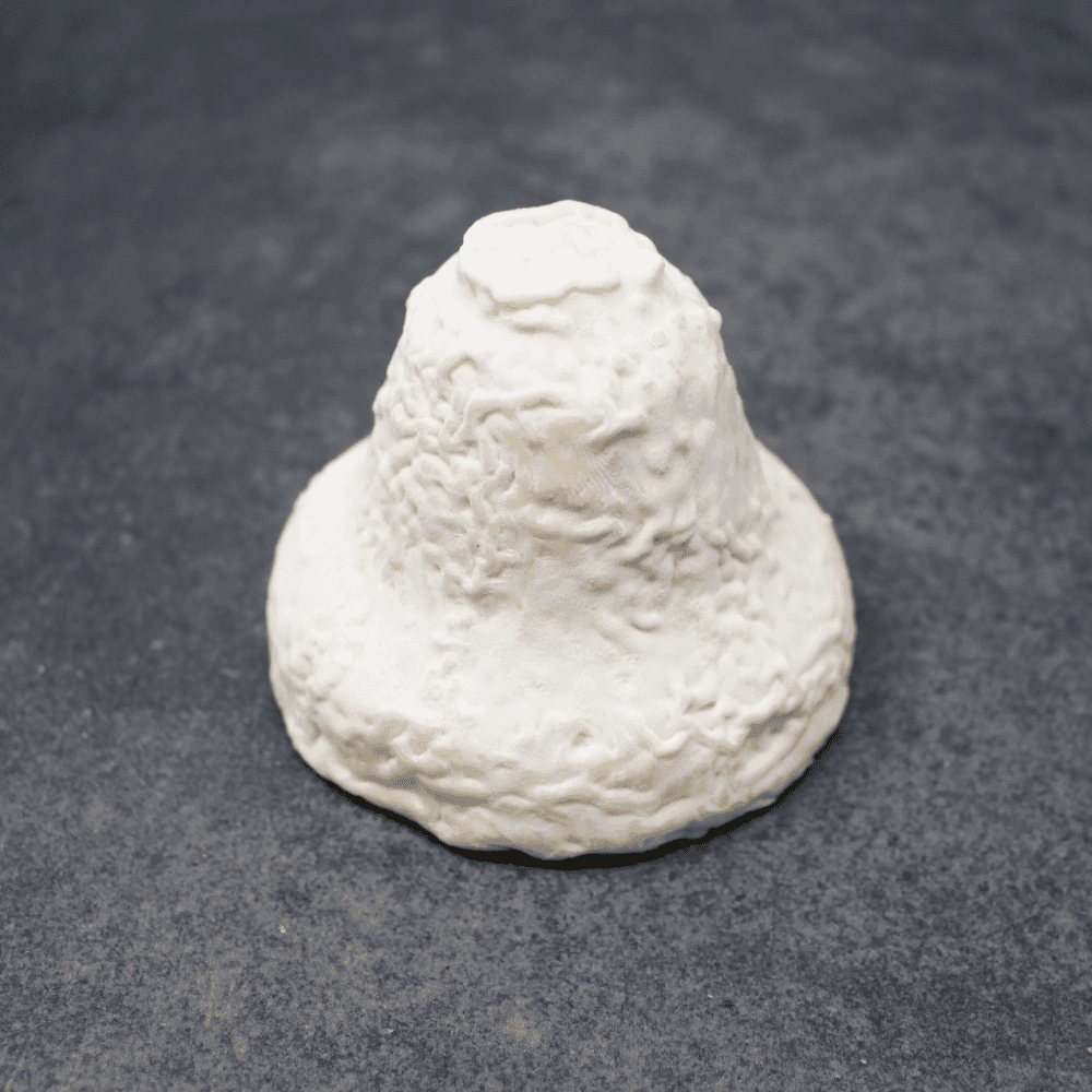 Beillevaire Clochette de Fontenille Soft Goat Cheese France Paso Robles - Cured and Cultivated