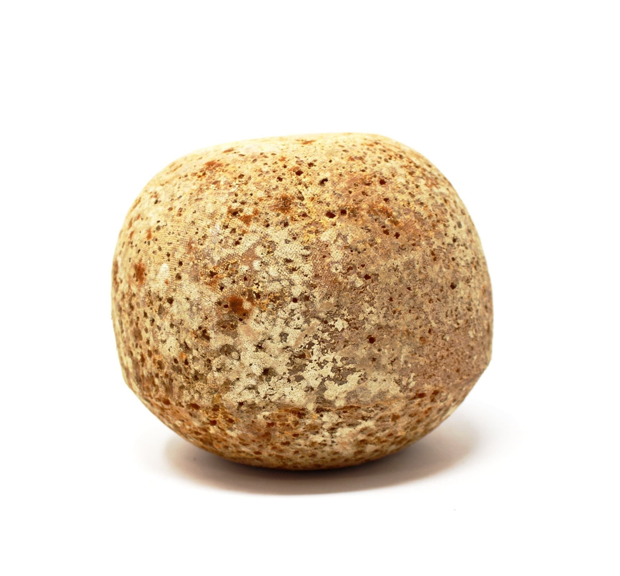 Mimolette Aged for 12 month - Cured and Cultivated