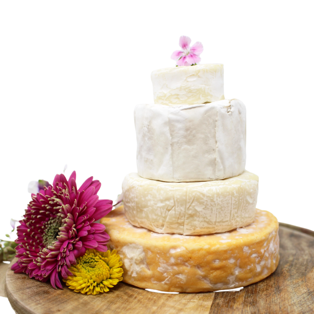 Brie Cake Set, 4 pc - Cured and Cultivated