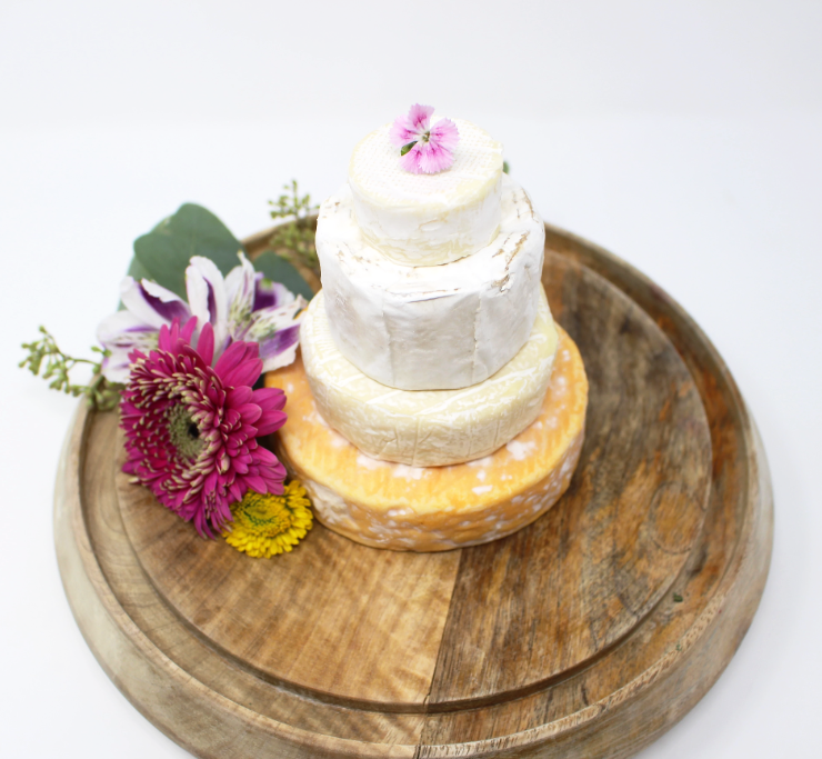 Brie Cake Set, 4 pc - Cured and Cultivated