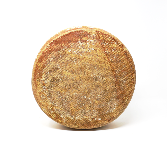 Alpengouda Cheese - Cured and Cultivated