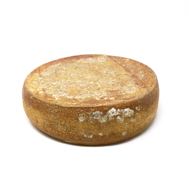 Alpengouda Cheese - Cured and Cultivated