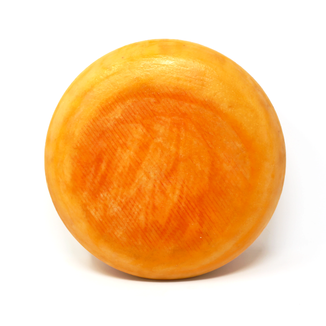 Jake's Aged Gouda Saxelby Cheesemongers - Cured and Cultivated
