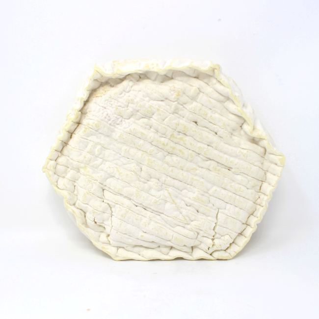 Fromager d'Affinois Florette Goat Cheese - Cured and Cultivated