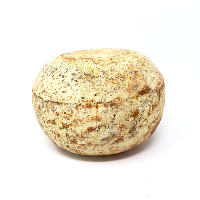 Isigny Mimolette Aged for 18 month - Cured and Cultivated
