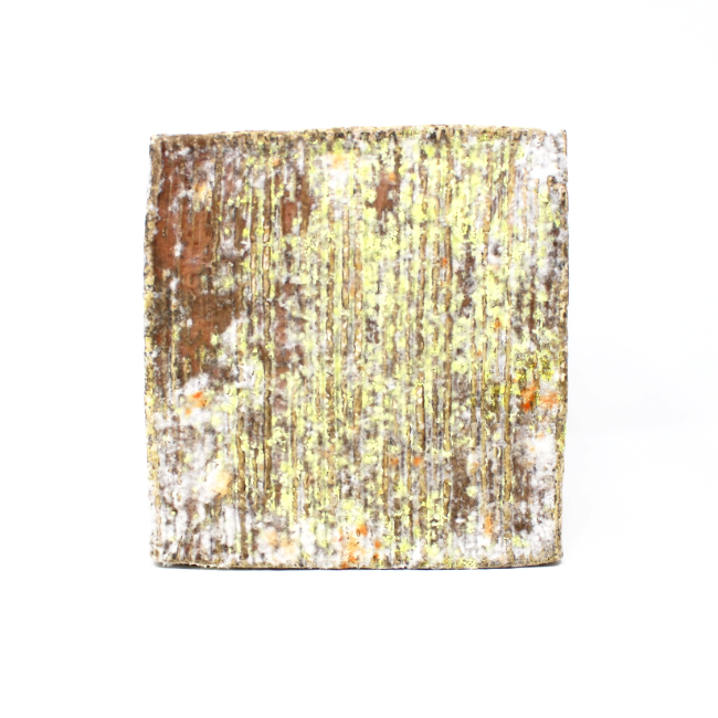 Salva Cremasco Ciresa Cheese - Cured and Cultivated