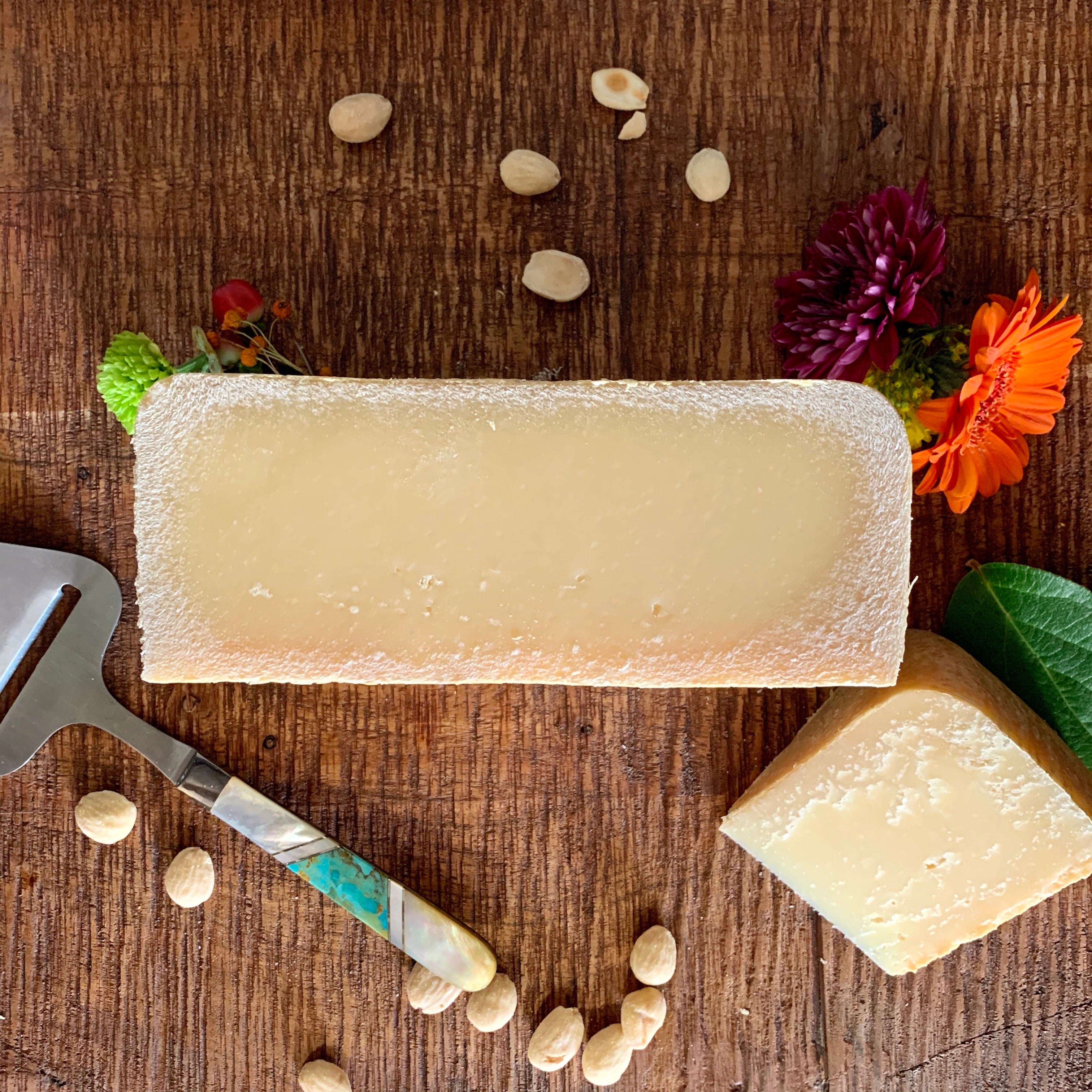 Paški Sir - Cured and Cultivated
