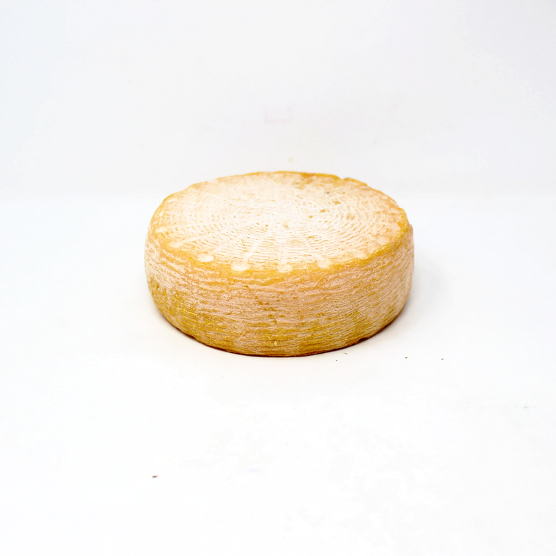 Scorpio Washed Rind Sheep Milk Cheese by Shooting Star Creamery - Cured and Cultivated