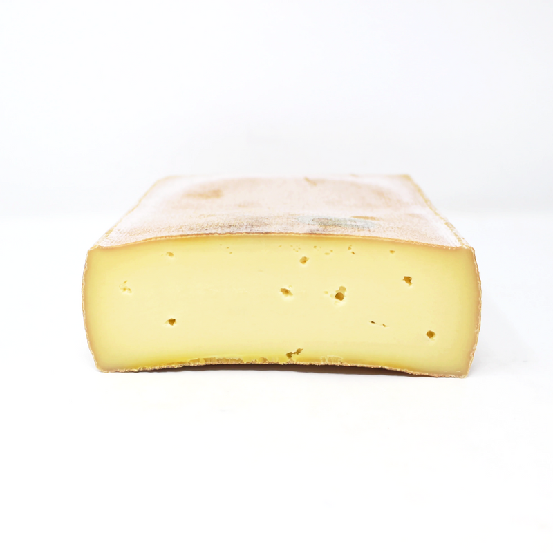 Backsteiner cheese Paso Robles - Cured and Cultivated