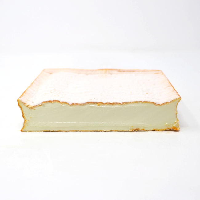 Soft cheese Brebirousse D'Argental Sheep - Cured and Cultivated