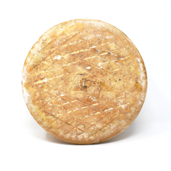 Ossau-Iraty AOC Istara Cheese - Cured and Cultivated