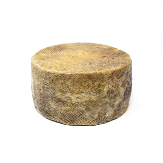 Golden Flees Azafran Manchego Cheese- Cured and Cultivated